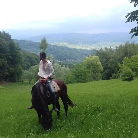 Casa Piscul Lupului Villa Pucioasa Kültér fotó