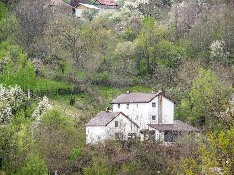 Casa Piscul Lupului Villa Pucioasa Kültér fotó