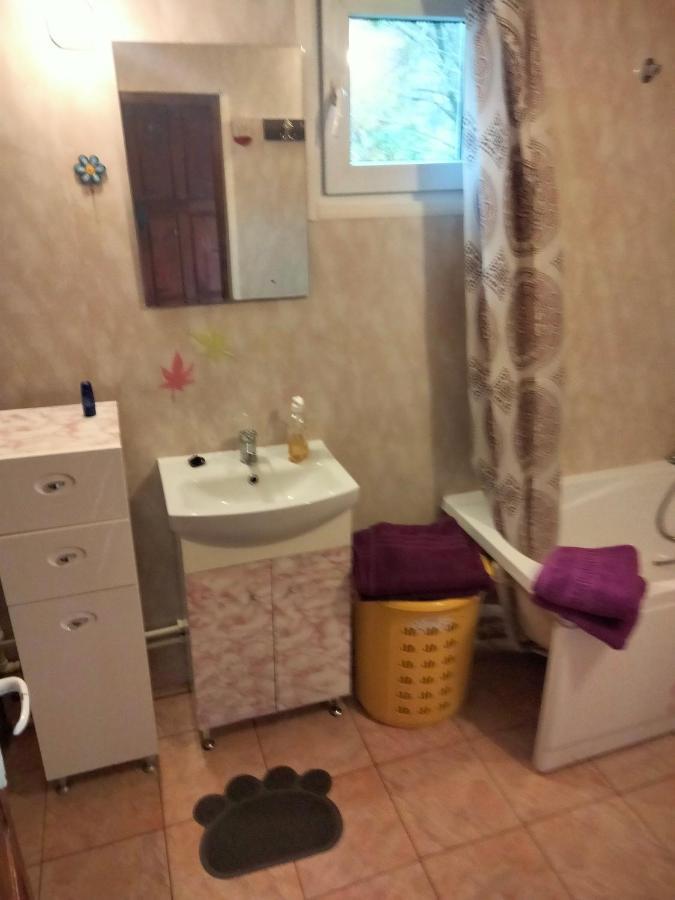 Casa Piscul Lupului Villa Pucioasa Kültér fotó