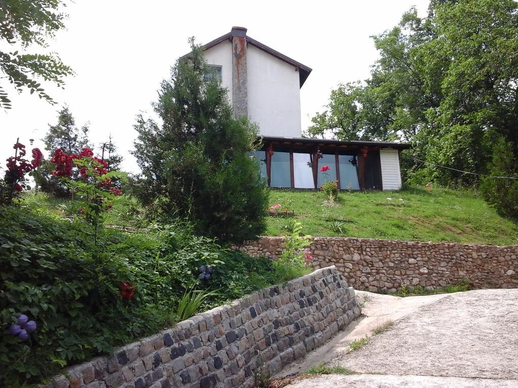 Casa Piscul Lupului Villa Pucioasa Kültér fotó