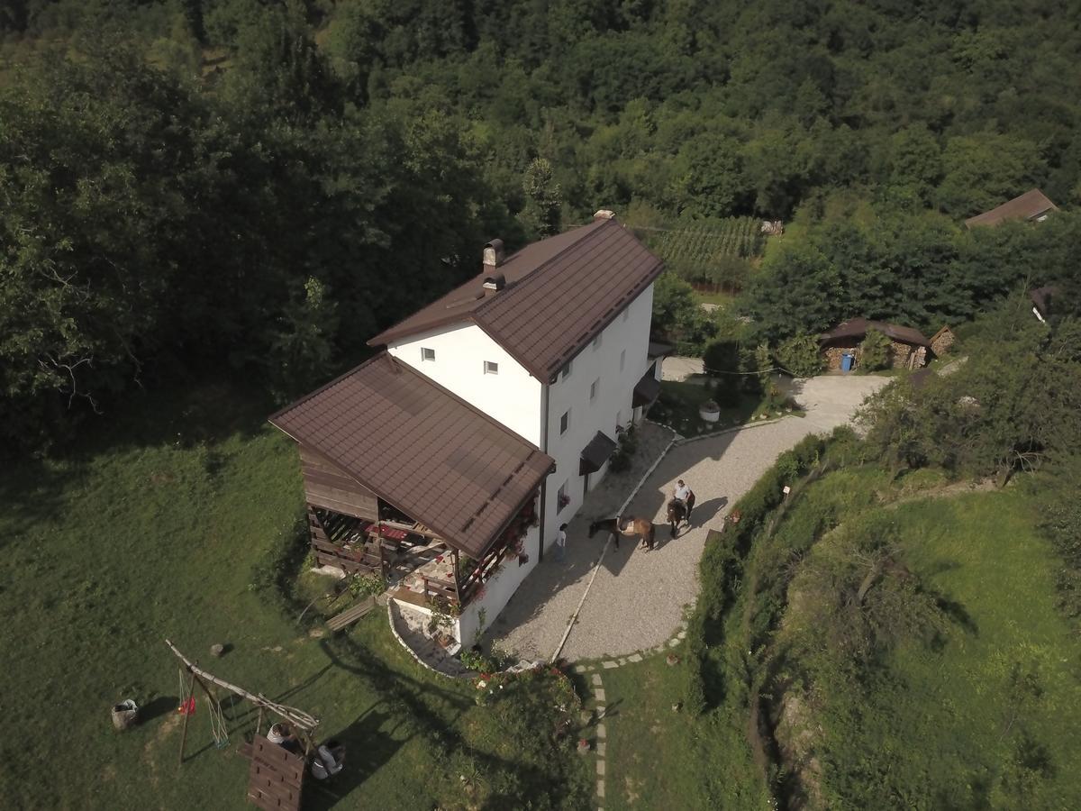 Casa Piscul Lupului Villa Pucioasa Kültér fotó